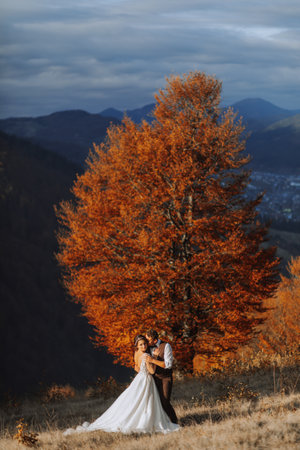 Loving couple in the mountains. Weddings in the mountains. Back view of the newlywed couple standing on the mountains and enjoying the landscape.の写真素材