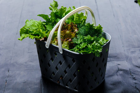 Organic salad plants in plastic breakfast basket, on black background, organic salad in gardening,...