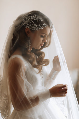 portrait of a blonde bride in a wedding dress with sleeves under a veil, standing in profile in her...