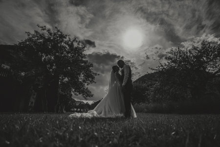 A beautiful wedding, a beautiful couple in love, laughing and kissing against the background of a green garden. High quality photo. black and white photoの写真素材