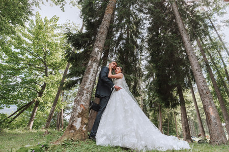 A wedding couple is enjoying the best day of their lives against the backdrop of tall trees. Portrait of brides in love in natureの写真素材