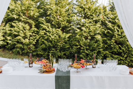 a buffet table of fruit, champagne and cold drinks organized in nature on a wedding day or for a birthdayの写真素材