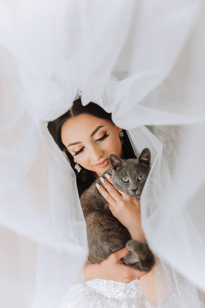 Portrait of a bride in a hotel room with a cat in her hands. A beautiful young girl wearing a white wedding dress. Modern wedding hairstyle. Natural makeup.の写真素材