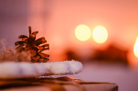 pine cone on the table. Coniferous conifers.の写真素材