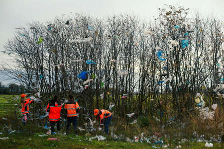 Garbage bags spread across the field and trees.の写真素材