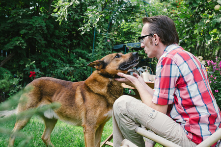 Man and his dog rest in the garden at summer dayの写真素材