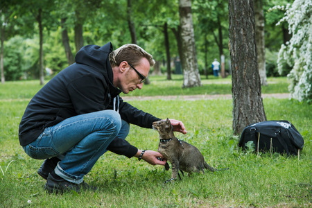 man playing the cat outdoor in summer day on cats first walkの写真素材