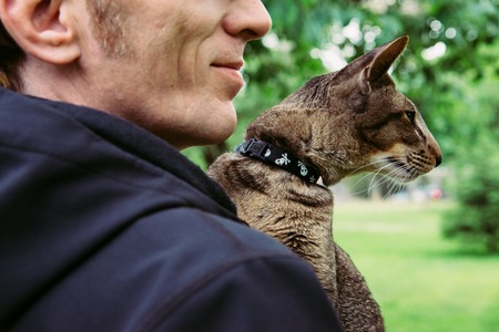close up cat portrait outdoor on owner's handsの写真素材