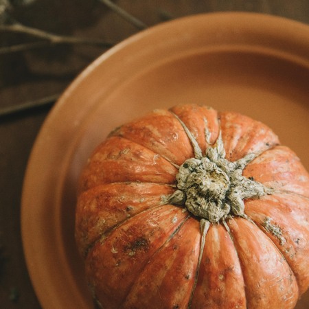 Decorative pumpkin at the plate. top viewの写真素材