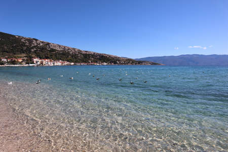 Seascape on the azure Adriatic sea and seagulls on the water surface on a sunny autumn day, Krk...