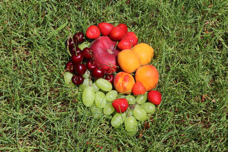 Fruit in the grass. Ripe peaches, cherries, strawberries, apricots and grapes on a green backgroundの写真素材
