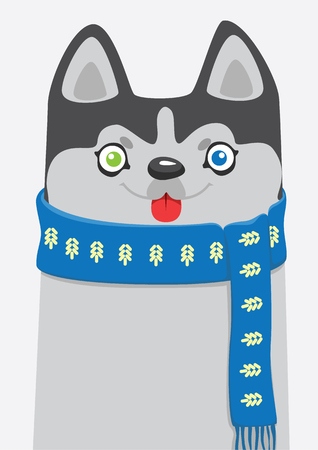 Winter husky in the scarfのイラスト素材