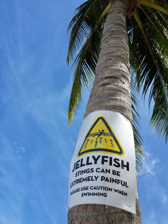Palm tree with a warning sign on blue sky background. The inscription on the palm:Jellyfish stings can be extremely painful. Please use caution when swimming. Koh Samui, Thailandの写真素材