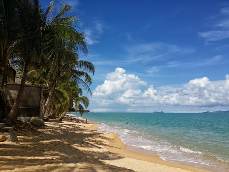 The sandy shores of the azure sea. Waves and palm trees. Koh Samui, Thailand
