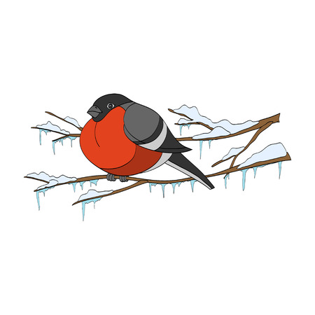 Bullfinch sitting on winter branch. Vector handdrawn illustrationのイラスト素材