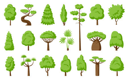 Green trees flat set. Baobab palm dracaena, sequoia fir, cypress spruce, maple thuja willow, foliar and pine forest park plant. Foliage cartoon landscape floral outdoor element. Different shape treeのイラスト素材