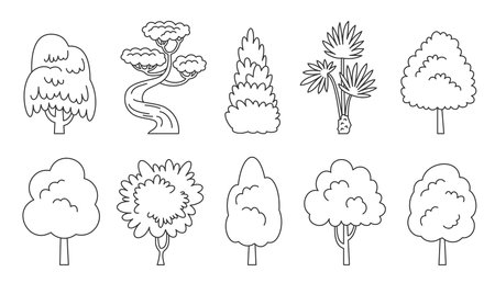Tree line icon set. Spruce maple palm sequoia. Arboretum coloring book eco plants side view. Cartoon forest aspen alder ash linden acacia chestnut. Dracaena willow cypress thuja pine oak poplar birchのイラスト素材