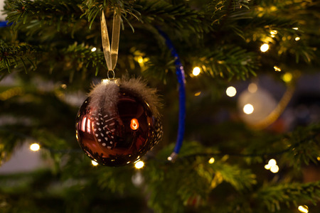 Closeup of red bauble hanging from a decorated Christmas tree.の写真素材