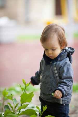 Small boy playing outside. Portrait of 2 year old toddler with blond hair and blue eyes.の写真素材