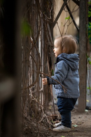 Small boy playing outside. Portrait of 2 year old toddler with blond hair and blue eyes.の写真素材