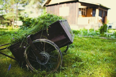 A wheelbarrow with mown grass against the backdrop of a village house.の写真素材