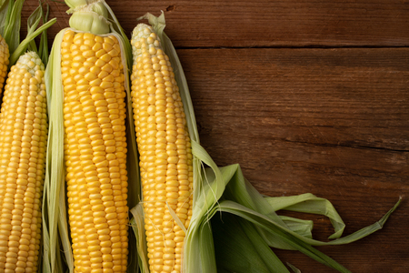 Fresh corn on cobs on rustic wooden table, closeup. Top view with copy space
