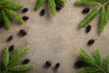 Christmas stone background with snow fir tree. Top view with copy space.