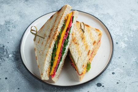 Two homemade sandwiches with sausage, cheese and arugula on a light concrete background. The concept...