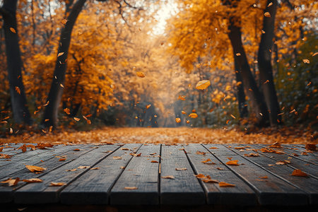 Autumn maple leaves on wooden table.Falling leaves natural background.Sunny autumn day with beautiful orange fall foliage in the park.の素材