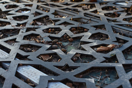A fragment of a metal grille with a geometric pattern through which leaves and debris are visible. Metal texture and openwork patternの写真素材