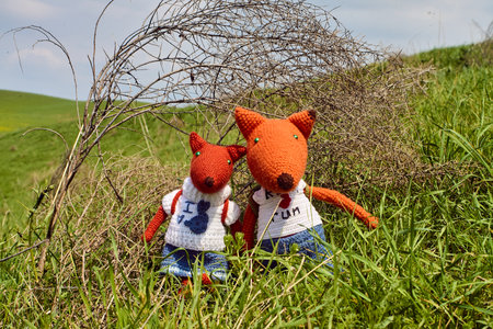 Two soft knitted toys in the form of foxes, dressed in clothes and with backpacks, stand in tall grass against the background of a spring landscape, symbolizing friendshipの写真素材