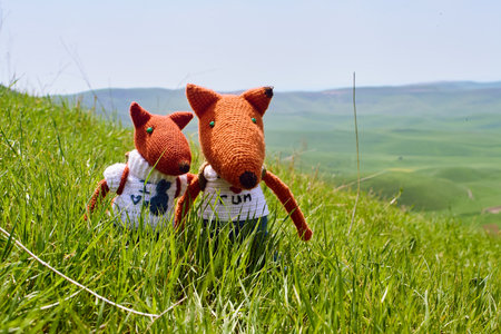 Two soft knitted toys in the form of foxes, dressed in clothes and with backpacks, stand in tall grass against the background of a spring landscape, symbolizing friendshipの写真素材