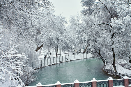 Snow-covered trees and a staircase by the pond create an atmosphere of winter silence. Frozen branches bend over the fence, reflecting in the calm waterの写真素材