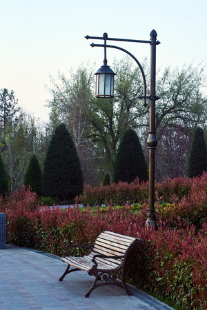 A decorative lantern, a wooden bench and topiary bushes in the evening park create an atmosphere of coziness and tranquilityの写真素材