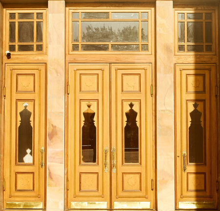 The doors are flanked by side panels with similar ornamentation, creating an impression of luxury and classical architectureの写真素材