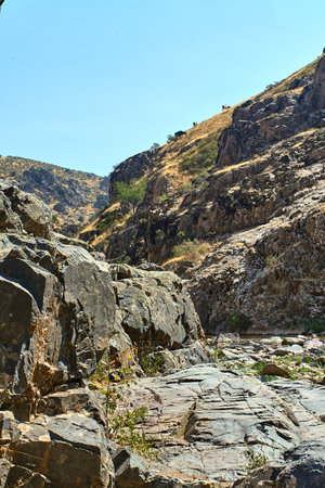 A narrow mountain river meandering between steep cliffs in Boshkyzylsay, Uzbekistan, with rocky banks and summer sunlight, July 2025の写真素材