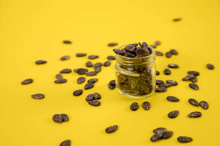 A jar of watermelon seeds, sprinkled around on a yellow background