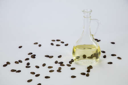 Watermelon oil from seeds in a bottle, seeds are scattered around, a jar full of seeds on a white backgroundの写真素材