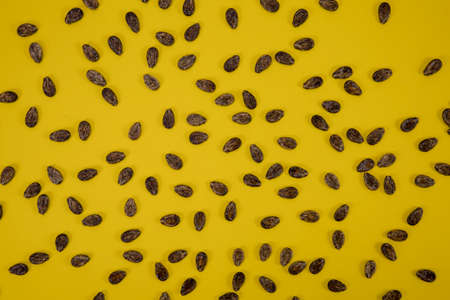View from the top on watermelon seeds on a yellowの写真素材