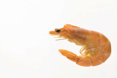 shrimp see food tiger isolated on white backgroundの写真素材