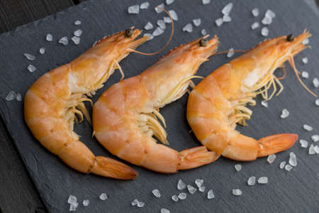 Shrimp on a dark backgroundの写真素材