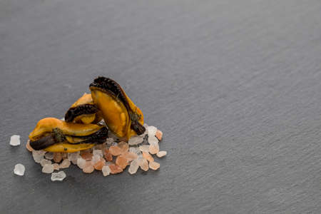 Mussels on salt, near lime and red hot peppersの写真素材