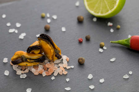 Mussels on salt, and red hot peppers, near limeの写真素材