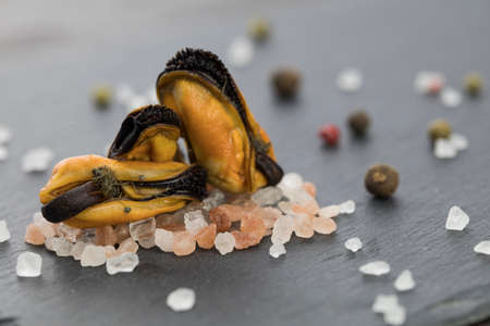 Mussels on salt, near lime and red hot peppersの写真素材