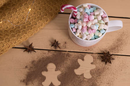 Mug with marshmallow, cookie with cinnamon, red and white christmas candy cane close-up.