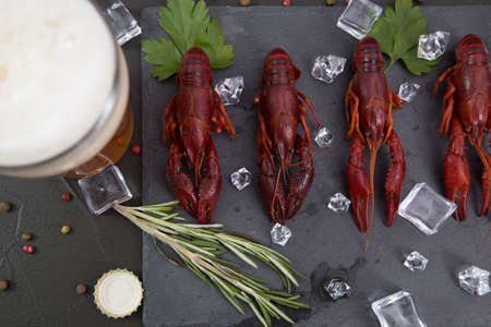 Delicious boiled crayfish close-up on a stone plate, around pieces of ice, and with a glass of beer, with pepper, lemon and parsley. Black backgroundの写真素材