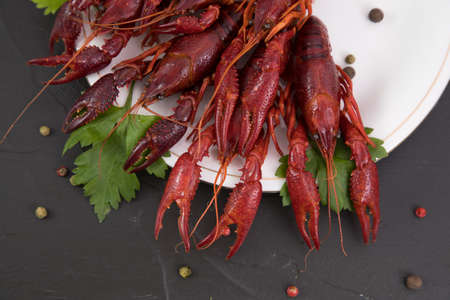 Delicious boiled crayfish close-up on a stone plate with pepper, lemon and parsley. free space for your text. Black background.の写真素材