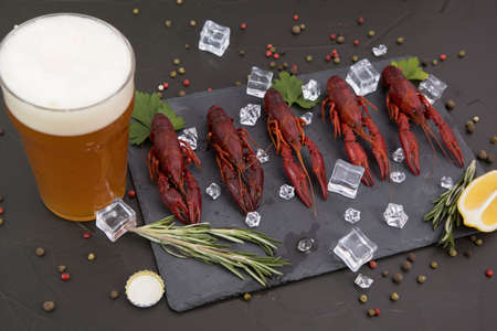 Delicious boiled crayfish close-up on a stone plate, around pieces of ice, and with a glass of beer, with pepper, lemon and parsley. Black backgroundの写真素材