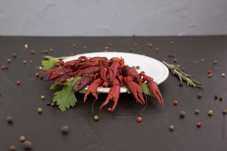 Delicious boiled crayfish close-up on a stone plate with pepper, lemon and parsley. free space for your text. Black background.の写真素材