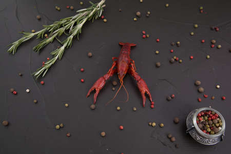 Delicious boiled crayfish close-up, with pepper, lemon and parsley. free space for your text. Dark backgroundの写真素材